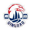 主队图片